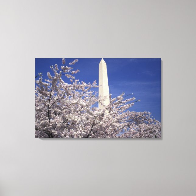 USA, Washington DC. Cherry Blossom Festival und Leinwanddruck (Vorderseite)
