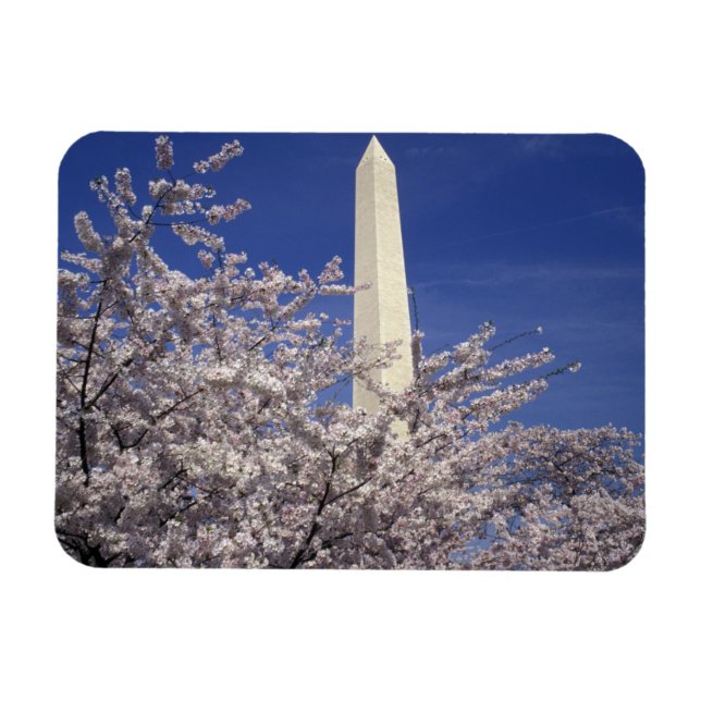 USA, Washington DC. Cherry Blossom Festival und Magnet (Horizontal)