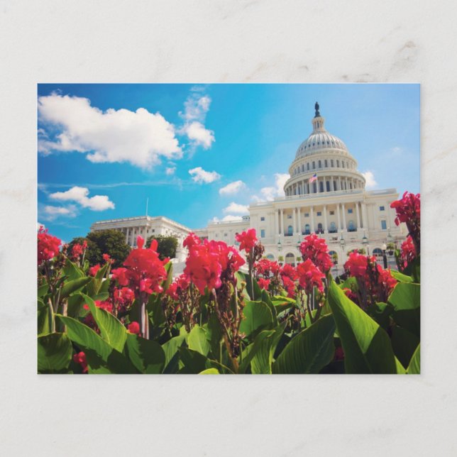 USA, Washington DC, Hauptstadt Gebäude Postkarte (Vorderseite)