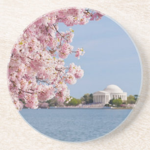 USA, Washington DC, Kirschbaum Getränkeuntersetzer