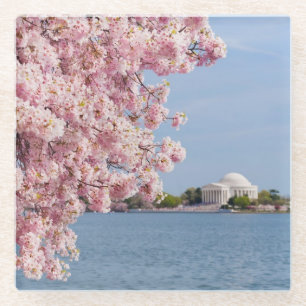 USA, Washington DC, Kirschbaum Glasuntersetzer