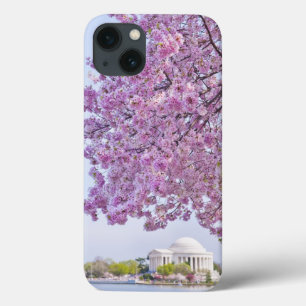 USA, Washington DC, Kirschbaum in der Blüte iPhone 13 Hülle