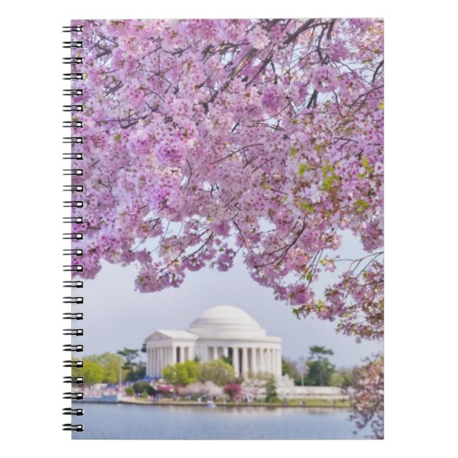 USA, Washington DC, Kirschbaum in der Blüte Notizblock (Vorderseite)