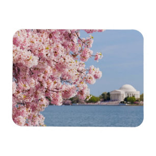 USA, Washington DC, Kirschbaum Magnet