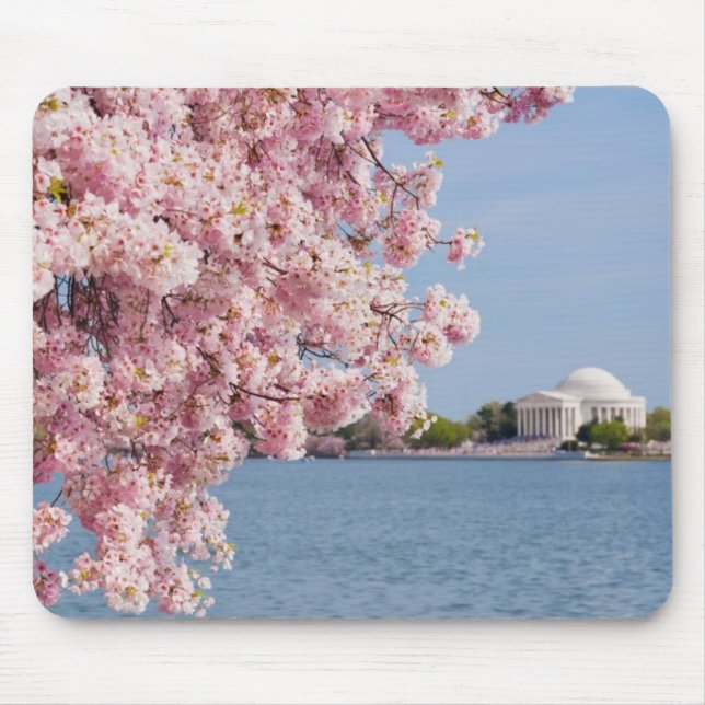 USA, Washington DC, Kirschbaum Mousepad (Vorne)