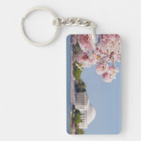 USA, Washington DC, Kirschbaum
