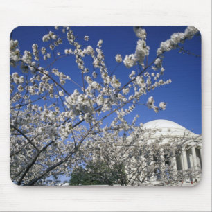 USA, Washington DC. Kirschblüte Festival und 2 Mousepad