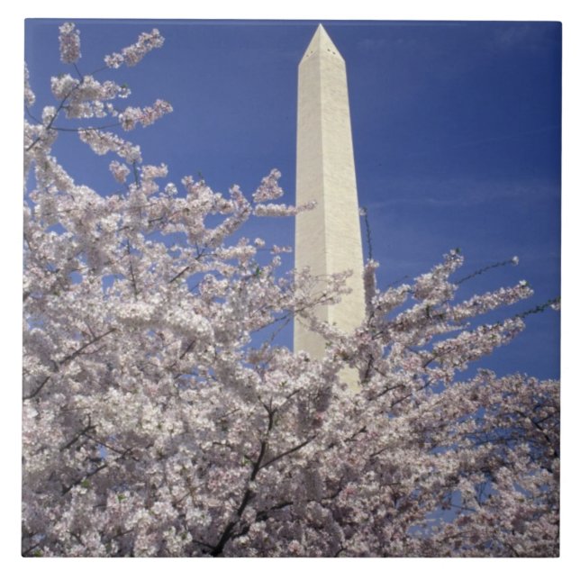 USA, Washington DC. Kirschblüten-Festival und Fliese (Vorderseite)