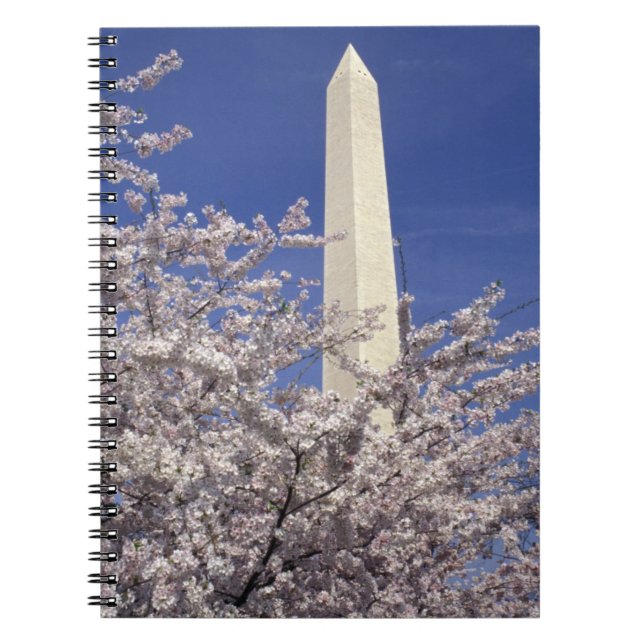 USA, Washington DC. Kirschblüten-Festival und Notizblock (Vorderseite)
