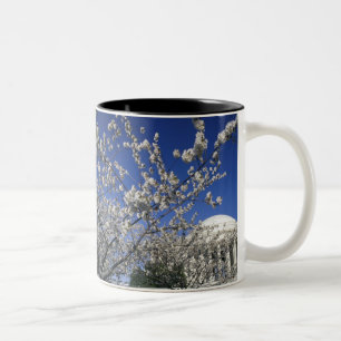 USA, Washington DC. Kirschblütenfest und 2 Zweifarbige Tasse