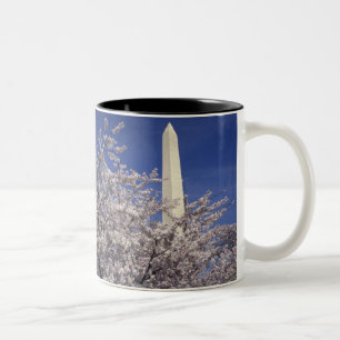 USA, Washington DC. Kirschblütenfest und Zweifarbige Tasse