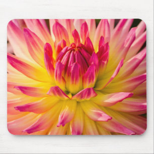 USA, Washington. Detail der Dahlia-Blume Mousepad