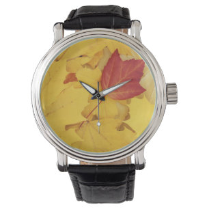 USA, Washington, Finch Arboretum, Red und Armbanduhr