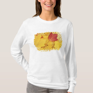 USA, Washington, Finch Arboretum, Rot und T-Shirt