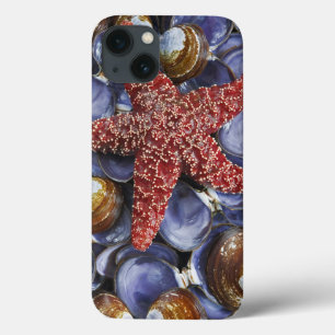 USA, Washington, Hood Canal, Seabeck. Nahaufnahme Case-Mate iPhone Hülle