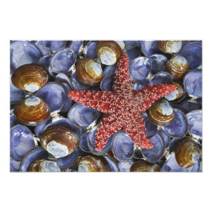 USA, Washington, Hood Canal, Seabeck. Nahaufnahme Fotodruck