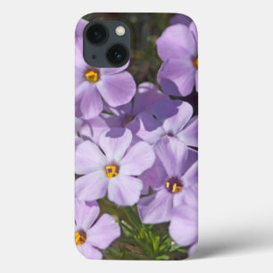 USA, Washington, Kaskadenkette 6 Case-Mate iPhone Hülle