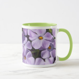 USA, Washington, Kaskadenkette 6 Tasse