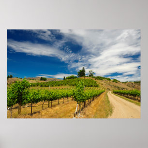 USA, Washington, Lake Chelan. Weinberg 3 Poster