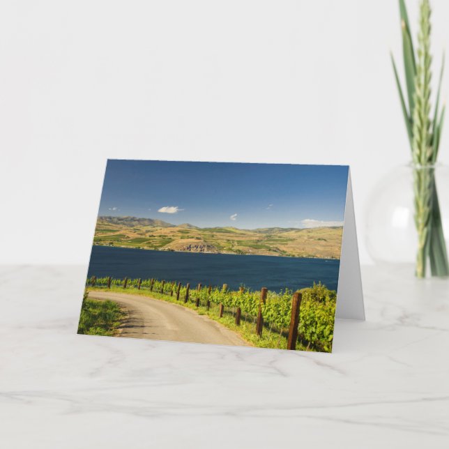 USA, Washington, Lake Chelan. Weinberg Feiertagskarte (Vorderseite)