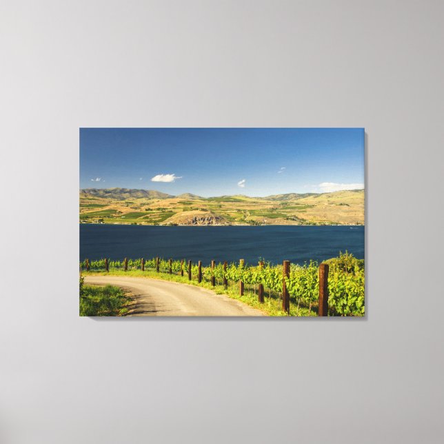 USA, Washington, Lake Chelan. Weinberg Leinwanddruck (Vorderseite)