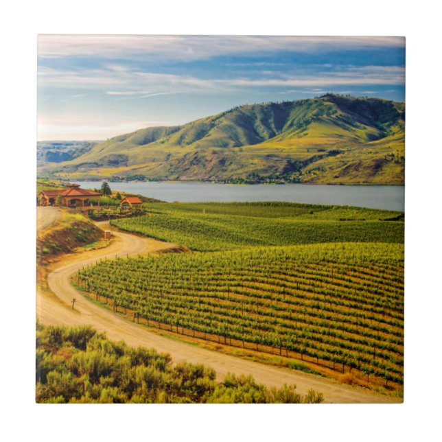 USA, Washington, Lake Chelan. Weintrauben von Bens Fliese (Vorderseite)