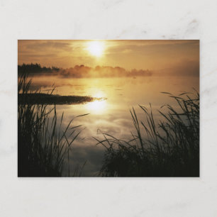 USA, Washington, Lopez Island, Morgennebel auf Postkarte