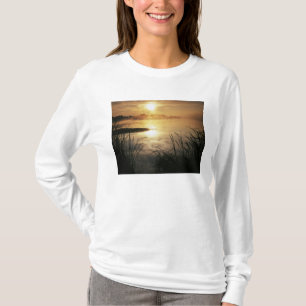 USA, Washington, Lopez Island, Morgennebel auf T-Shirt