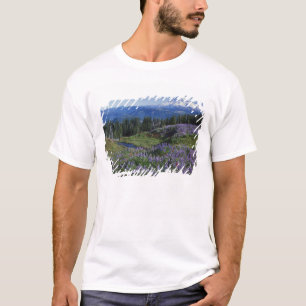 USA, Washington Mt. Adams Wilderness, Meadows T-Shirt