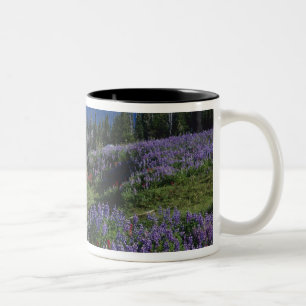 USA, Washington Mt. Adams Wilderness, Meadows Zweifarbige Tasse