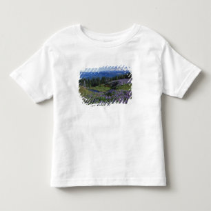 USA, Washington Mt. Adams Wilderness, Wiesen Kleinkind T-shirt
