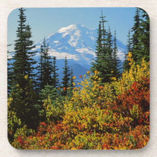 USA, Washington, Mt. Rainier Nationalpark 2 Getränkeuntersetzer