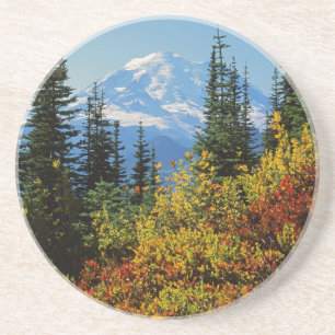 USA, Washington, Mt. Rainier Nationalpark 2 Sandstein Untersetzer