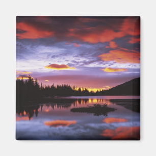 USA, Washington, Mt. Rainier Nationalpark, Magnet