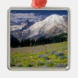 USA, Washington, Mt. Rainier Nationalpark. Ornament Aus Metall