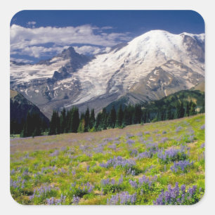 USA, Washington, Mt. Rainier Nationalpark. Quadratischer Aufkleber