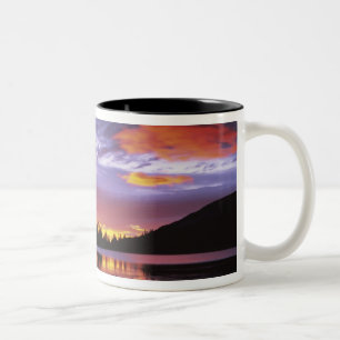 USA, Washington, Mt. Rainier Nationalpark, Zweifarbige Tasse