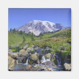 USA, Washington, Mt. Rainier NP, Mt. Rainier und 2 Magnet