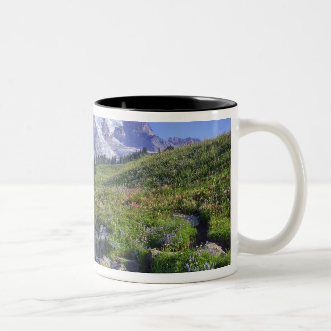 USA, Washington, Mt. Rainier NP, Mt. Rainier und 2 Zweifarbige Tasse (Rechts)