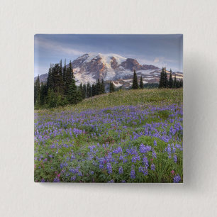 USA, Washington, Mt. Rainier NP, Mt. Rainier und Button