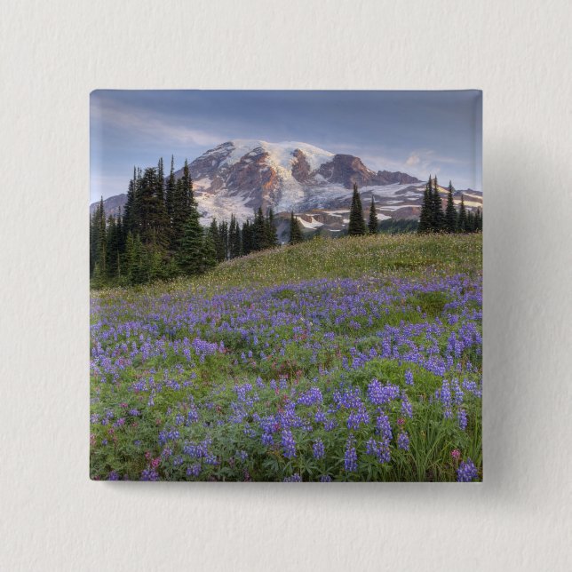 USA, Washington, Mt. Rainier NP, Mt. Rainier und Button (Vorderseite)