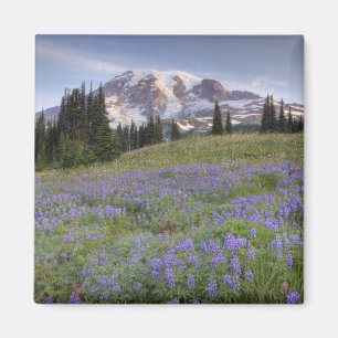 USA, Washington, Mt. Rainier NP, Rainier und Magnet