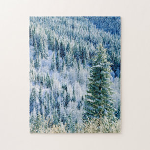 USA, Washington, Mt. Spokane State Park, Espe
