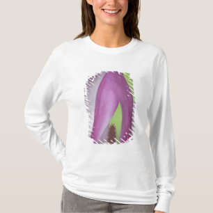 USA, Washington. Nahe Magnolienblüte. T-Shirt