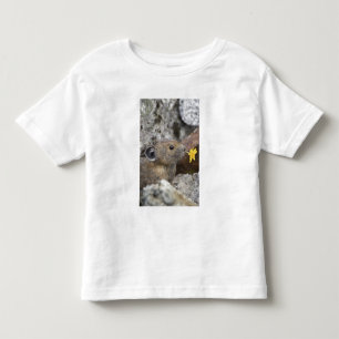 USA, Washington, North Cascades National Park, Kleinkind T-shirt