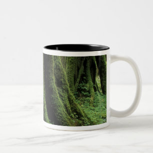 USA, Washington, Olympic National Park, 2 Zweifarbige Tasse