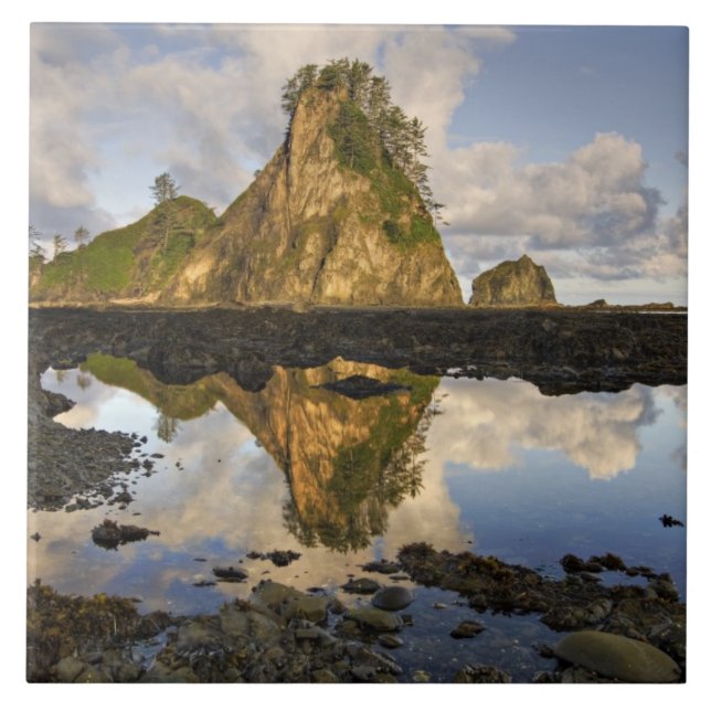 USA, Washington, Olympic National Park.A Fliese (Vorderseite)