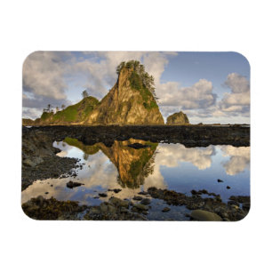 USA, Washington, Olympic National Park. Ein Magnet