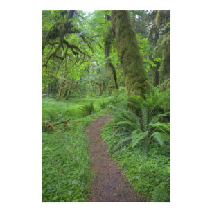 USA, Washington, Olympic National Park, Fotodruck