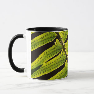 USA, Washington, Olympic National Park, Gegenlicht Tasse